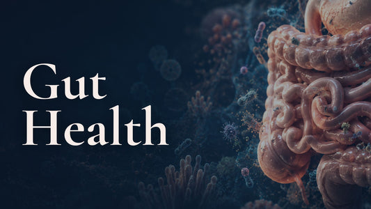 Gut Health: Imbalance, Assessment & Treatment